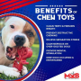 Red - MKB Key to My Heart Ultra Durable Nylon Dog Chew Toy for Aggressive Chewers - OSFA