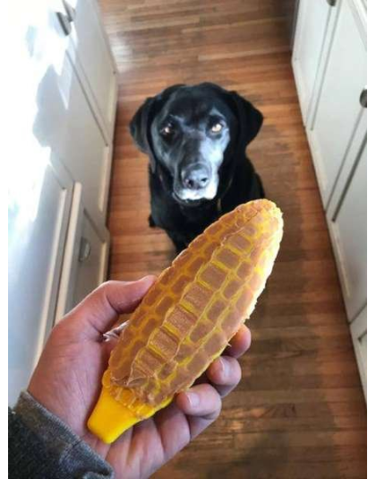 Yellow - SP Corn on the Cob Ultra Durable Nylon Dog Chew Toy for Aggressive Chewers  - OSFA