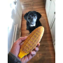 Yellow - SP Corn on the Cob Ultra Durable Nylon Dog Chew Toy for Aggressive Chewers  - OSFA