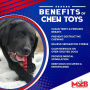Green - MKB Christmas Tree Ultra Durable Nylon Dog Chew Toy for Aggressive Chewers  - OSFA