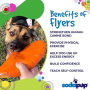 Orange Squeeze - SP Bottle Top Flyer Durable Rubber Retrieving Frisbee - Small (7" diameter)