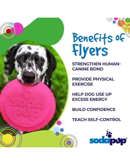 Pink - SP Puppy Bottle Top Flyer Durable Rubber Retrieving Frisbee for Puppies - Small
