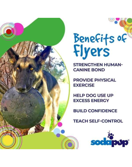 Black - SP Bottle Top Flyer Durable Rubber Retrieving Frisbee  - Large Flyer (9.75" Diameter)