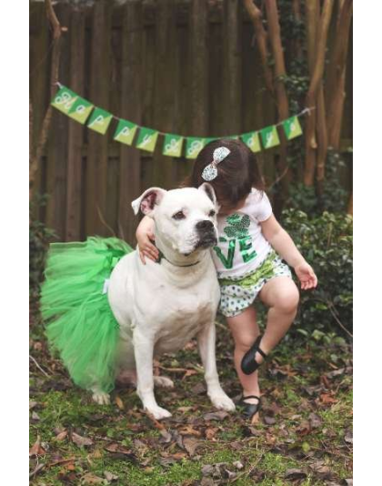 Green - Green Christmas Dog Tutu Skirt (Medium) - Med