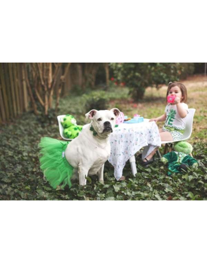 Green - Green Christmas Dog Tutu Skirt (Small) - Small