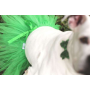 Green - Green Christmas Dog Tutu Skirt (Small) - Small