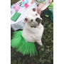 Green - Green Christmas Dog Tutu Skirt (Small) - Small