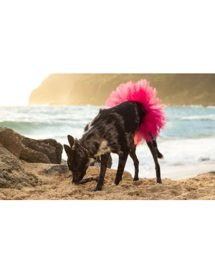 Hot Pink - Hot Pink Dog Tutu Skirt (Small) - Small