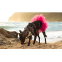 Hot Pink - Hot Pink Dog Tutu Skirt (Small) - Small