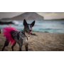 Hot Pink - Hot Pink Dog Tutu Skirt (Large) - Large