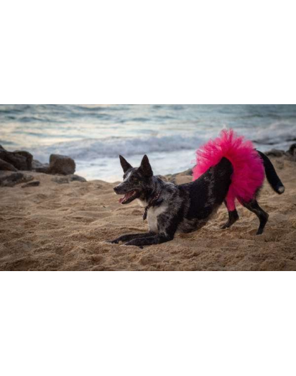 Hot Pink - Hot Pink Dog Tutu Skirt (Large) - Large
