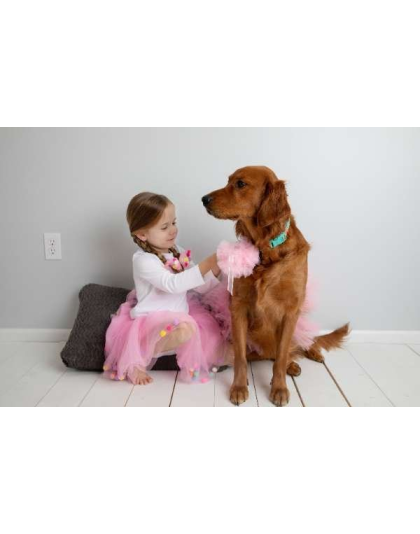 Light Pink - Light Pink Dog Tutu Skirt (Small) - Small