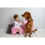 Light Pink - Light Pink Dog Tutu Skirt (Small) - Small