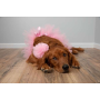 Light Pink - Light Pink Dog Tutu Skirt (Large) - Large