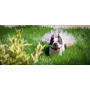 Light Pink - Light Pink Dog Tutu Skirt (Small) - Small
