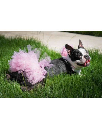 Light Pink - Light Pink Dog Tutu Skirt (XXL) - XXL