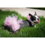 Light Pink - Light Pink Dog Tutu Skirt (XXL) - XXL