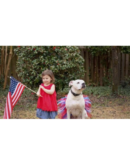 Red/White/Blue - Red/White/Blue 4th Of July Dog Tutu Skirt (Small) - Small