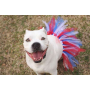 Red/White/Blue - Red/White/Blue 4th Of July Dog Tutu Skirt Medium) - Medium