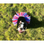 Red/White/Blue - Red/White/Blue 4th Of July Dog Tutu Skirt (Small) - Small
