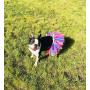 Red/White/Blue - Red/White/Blue 4th Of July Dog Tutu Skirt (Large) - Large