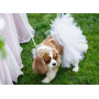 White - White Bridal Dog Tutu Skirt (Small) - Small