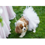 White - White Bridal Dog Tutu Skirt (Large) - Large
