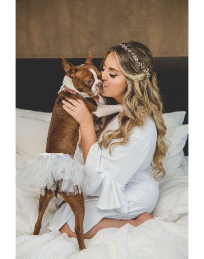 White - White Bridal Dog Tutu Skirt (Medium) - Medium