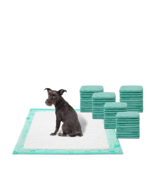 WizSmart All Day Dry Dog Pads Super 50 Count 3 Pack - 50 Count