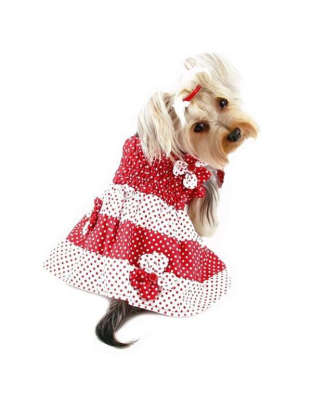 Red/White - Red & White Polka Dots Sundress with Contrasting Flowers - XS