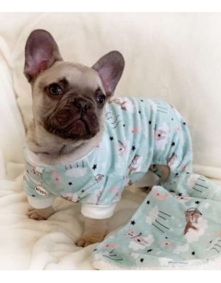 Green - Ultra Soft Plush Minky Bedtime Bears Pajamas - Medium
