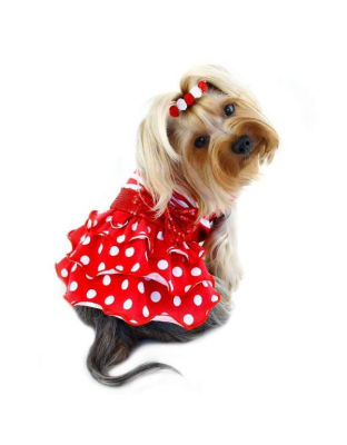 Sparkling Bow Ruffle Layered Dress - Medium