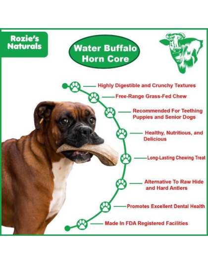 Cream - WATER BUFFALO HORN CORE-Horn Inner Part-100% Natural, High Protein, Long-Lasting, Grain-Free, Gluten-Free, Low-Fat, Dog Dental Treats & Chews-2 COUNT-10 oz - Large