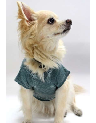 Hunter - Doggy Tee - Large