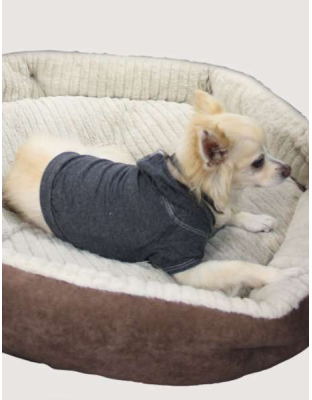 Black - Doggy Hoodie - Large