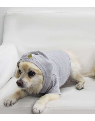 Asphalt - Doggy Hoodie French Terry - Small