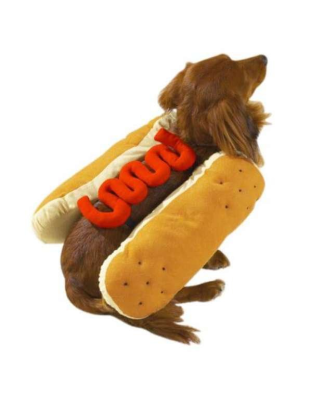 Mustard - Casual Canine Hot Diggity Dog Costume - Medium