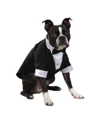 White - East Side Coll Yappily Ever After Groom Tux  - Large
