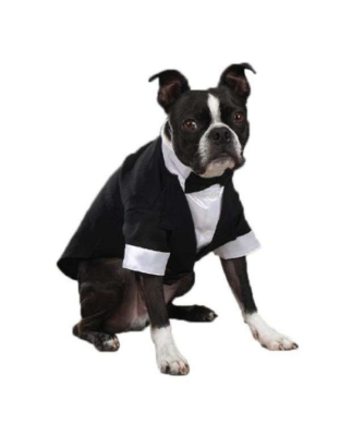 White - East Side Coll Yappily Ever After Groom Tux  - Small