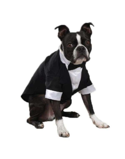 White - East Side Coll Yappily Ever After Groom Tux  - Small