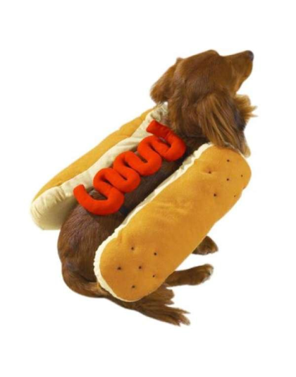 Mustard - Casual Canine Hot Diggity Dog Costume   - Small