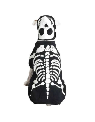 Casual Canine Glow Bones Custom - Small