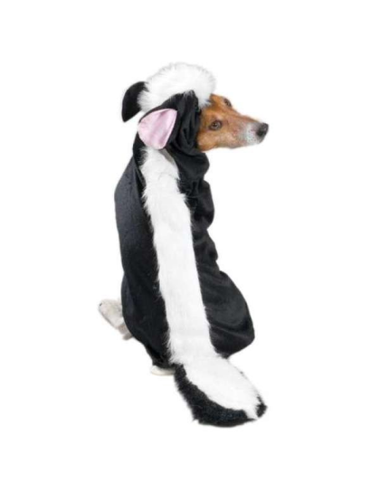 Casual Canine Lil' Stinker Custom X - XXL