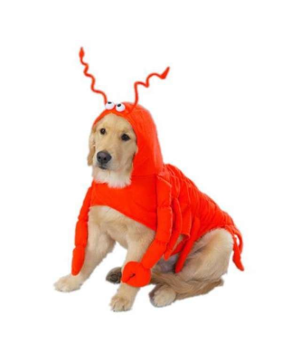 Casual Canine Lobster Paws Costume  - Large