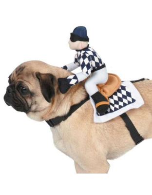 ZZ Show Jockey Saddle Costume  - Small