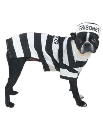 Casual Canine Prison Pooch Costume  - XL