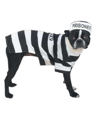 Casual Canine Prison Pooch Costume  - XXL