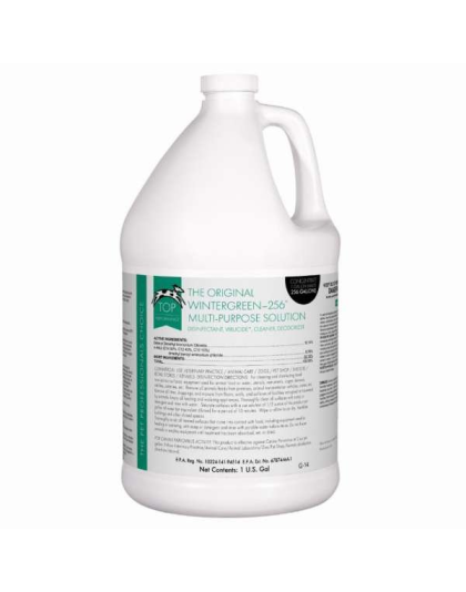 White - TP 256 Disinfectant Wintergreen Gallon - 1 Gallon