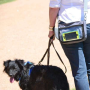 Black/Gray - Black + Gray Yucky Puppy crossbody dog walking bag - 9x6.5