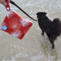 Red - Palm Yucky Puppy Dog Poop Bag Holders  - 6.75x6.25